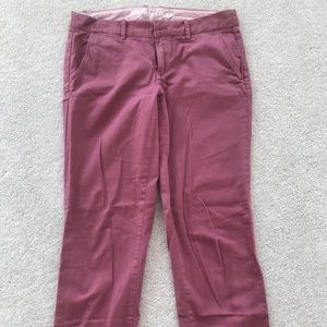 JCrew Waverly Chino size 8Tall